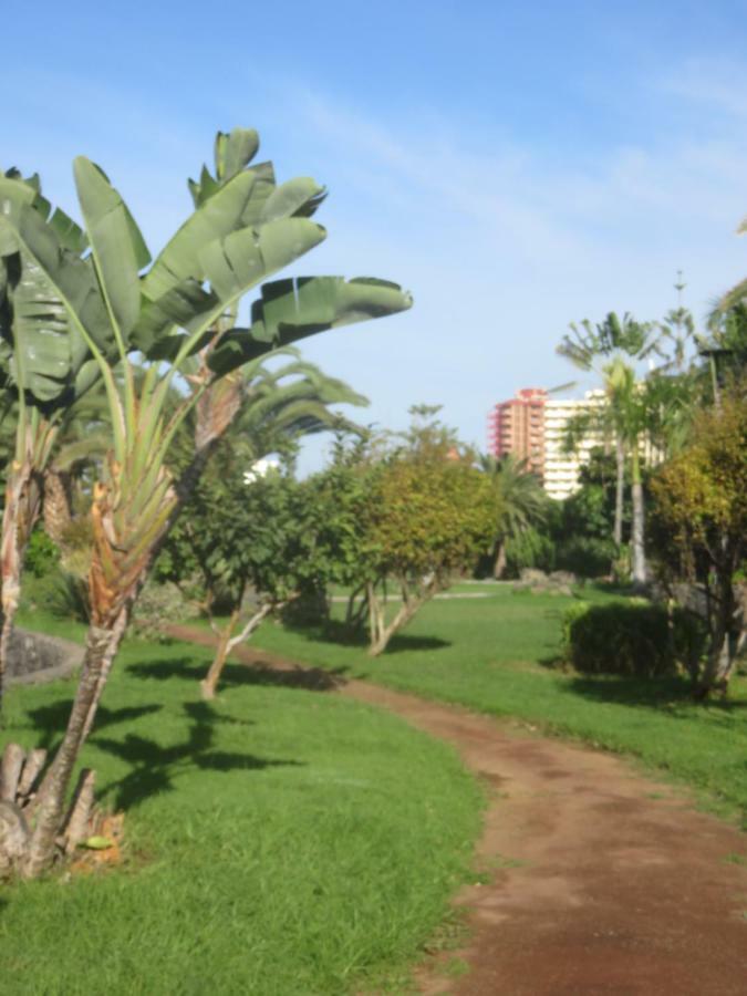 Centrico Loft En El Puerto De La Cruz Con Wifi Y Cerca De La Playa Appartement Buitenkant foto