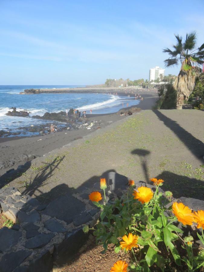 Centrico Loft En El Puerto De La Cruz Con Wifi Y Cerca De La Playa Appartement Buitenkant foto